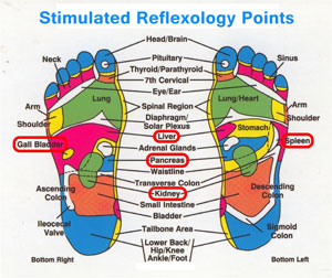 reflexology chart